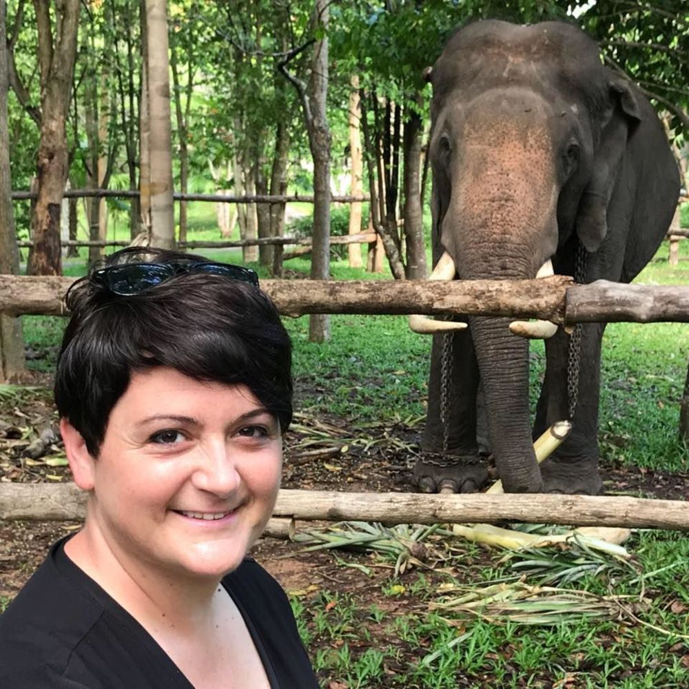 Meet your Posher, Syndi